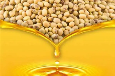 豆油期货的标的物质是什么_豆油期货简介是什么