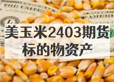美玉米2403期货标的物资产_美玉米期货和国内玉米期货关系大吗