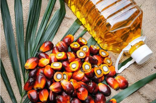 棕榈油期权保证金怎么收取_棕榈油看涨期权合约怎么买？