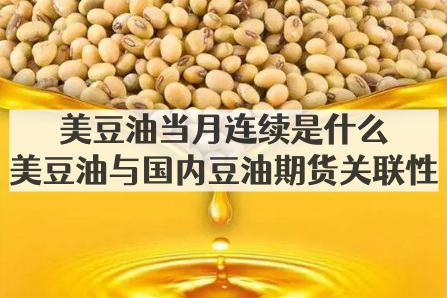 美豆油当月连续是什么_美豆油与国内豆油期货关联性