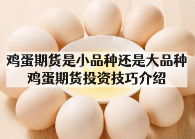 鸡蛋期货是小品种还是大品种_鸡蛋期货投资技巧介绍