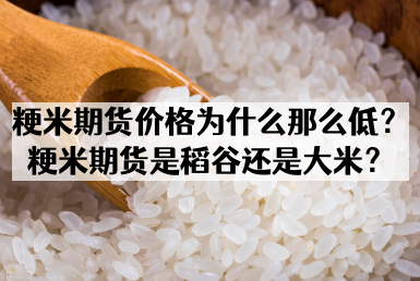 粳米期货价格为什么那么低？粳米期货是稻谷还是大米？
