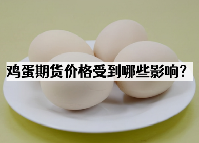 鸡蛋期货价格受到哪些影响？