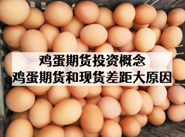 鸡蛋期货投资概念_鸡蛋期货和现货差距大原因