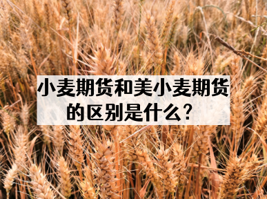 小麦期货和美小麦期货区别是什么？