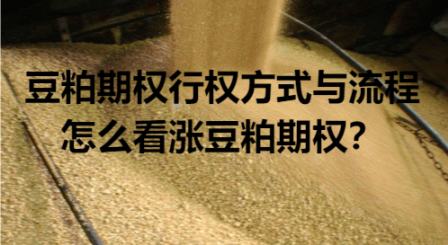 豆粕期权行权方式与流程_怎么看涨豆粕期权？