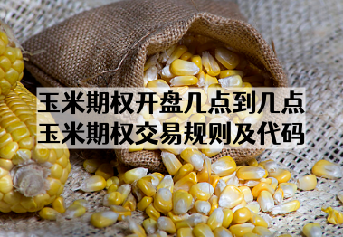 玉米期权开盘几点到几点_玉米期权交易规则