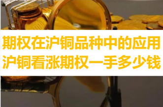 期权在沪铜品种中的应用_沪铜看涨期权一手多少钱