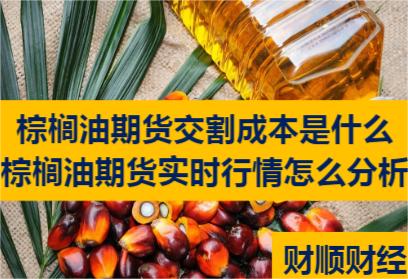 棕榈油期货交割成本是什么_棕榈油期货实时行情怎么分析
