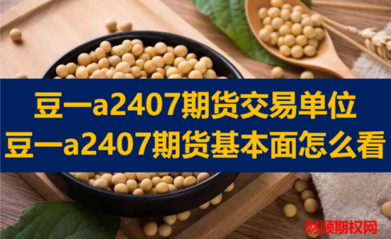 豆一a2407期货交易单位_豆一a2407期货基本面怎么看