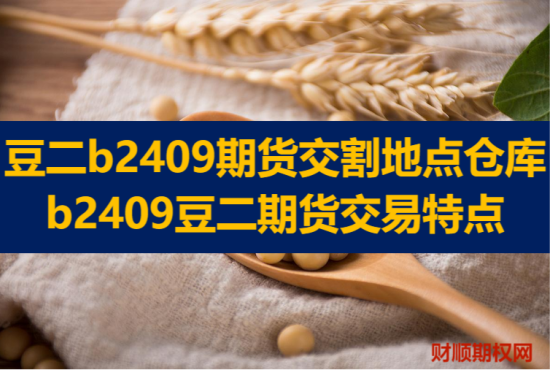 豆二b2409期货交割地点仓库_b2409豆二期货交易特点