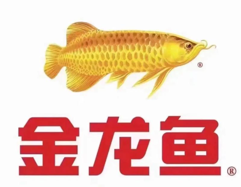 金龙鱼