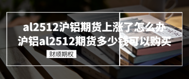 al2512沪铝期货上涨了怎么办_沪铝al2512期货多少钱可以购买