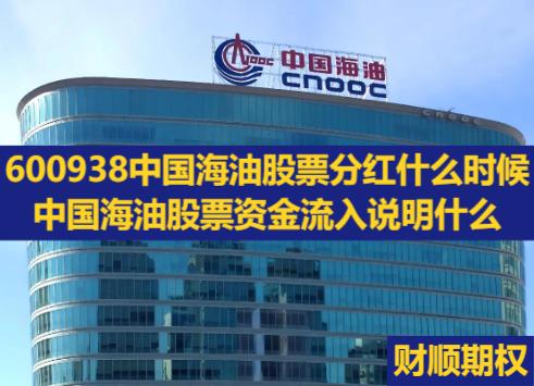600938中国海油股票分红什么时候_中国海油股票资金流入说明什么