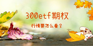 沪深300etf期权行情怎么看？