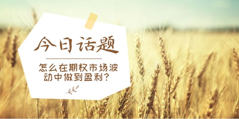 怎么在期权市场波动中做到盈利？