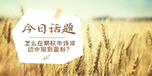 怎么在期权市场波动中做到盈利？