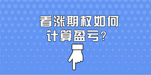 看涨期权如何计算盈亏？