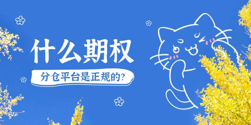 什么期权分仓平台是正规的？